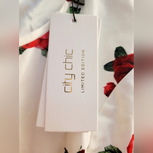 ⚘️City Chic Limited Edition Midi Dress🌹 - Picture 5 of 14